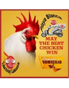 Roast Chicken Delivery Benicassim - Roast Chicken Restaurants and Takeaways Benicassim