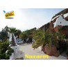 Airport Transfers Nazaret 35539